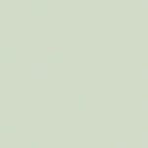 SANDERSON PAINT DRIFTWOOD GREY LT.  57
